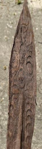 2 paddles, archeologische vondsten uit Lake Sentani van de