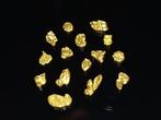 Briljante Gouden Nuggets - Yukon/Canada Goud nuggets- 0.5 g