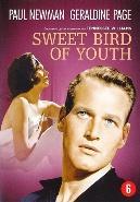 Sweet bird of youth - DVD, Verzenden, Nieuw in verpakking