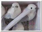 Vogeltjes Wit Grijs met clip 13x6,5x4 cm 2 stuks, Hobby en Vrije tijd, Knutselen, Ophalen of Verzenden, Nieuw