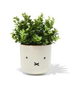 HEMA Nijntje bloempot 12cm keramiek, Huis en Inrichting, Kamerplanten, Verzenden