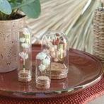 Mini dome Ø2 cm h.7 cm 12 stuks set stolpje met kurk, Ophalen of Verzenden, Nieuw