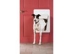 PetSafe SmartDoor - Elektronisch hondenluik - Tot 45 kg -, Verzenden, Nieuw