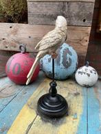 Decoratief ornament