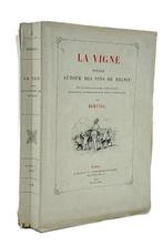 Bertall - La Vigne. Voyage autour des vins de France - 1878, Antiek en Kunst, Antiek | Boeken en Bijbels