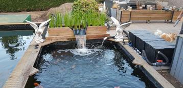 Plantenfilters 75cm t/m 187 gratis verzenden!! Met Kok beschikbaar voor biedingen