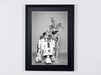Star Wars, R2-D2 & C-3PO - Droids - Fine Art Photography -, Verzamelen, Nieuw