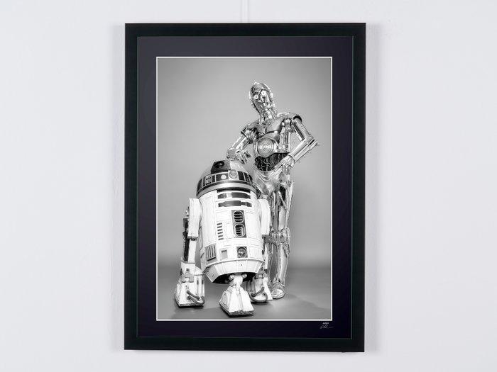 Star Wars, R2-D2 & C-3PO - Droids - Fine Art Photography -, Verzamelen, Film en Tv