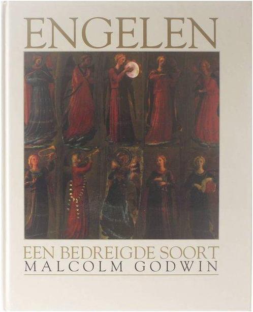 ENGELEN 9789059470439 M. Godwin, Boeken, Overige Boeken, Zo goed als nieuw, Verzenden