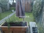 Woningruil - Jasmijnstraat 3b - 2 kamers en Amsterdam, Huizen en Kamers, Woningruil, Amsterdam
