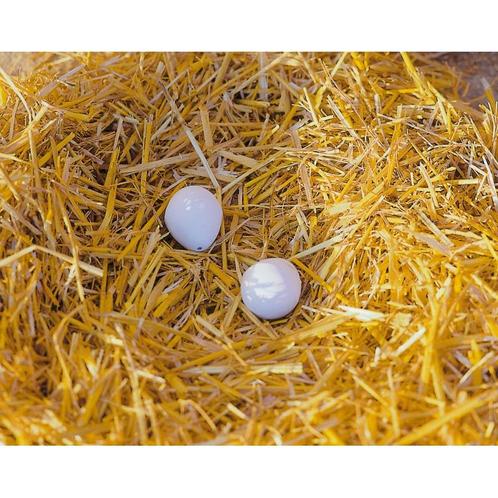 Nesteieren van klei v. kippen (2 st./blister) - kerbl, Dieren en Toebehoren, Pluimvee | Toebehoren, Ophalen of Verzenden