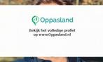 Tom zoekt een oppas in Haarlem voor 2 kinderen op donderdag., Nieuw