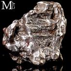 Campo del Cielo meteoriet – ijzer-nikkel met, Verzamelen, Mineralen en Fossielen