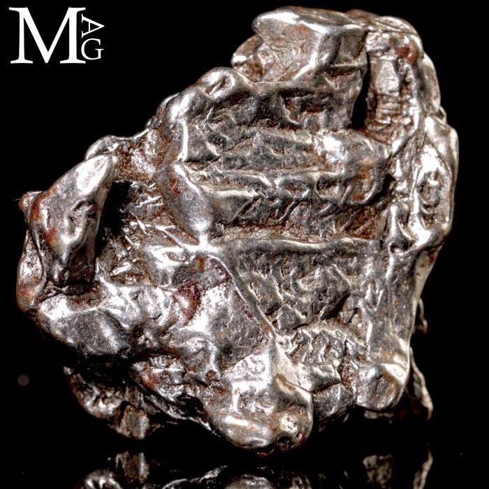 Campo del Cielo meteoriet – ijzer-nikkel met, Verzamelen, Mineralen en Fossielen