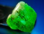 6,2 ct - onbehandelde natuurlijke smaragd Ruw- 1.24 g, Verzamelen, Mineralen en Fossielen