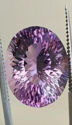Amethist - 21.71 ct - Antwerp Laboratory for Gemstone, Sieraden, Tassen en Uiterlijk, Edelstenen, Nieuw