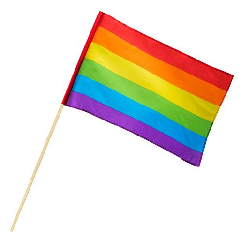 Regenboog Zwaaivlag 76cm, Hobby en Vrije tijd, Feestartikelen, Nieuw, Verzenden