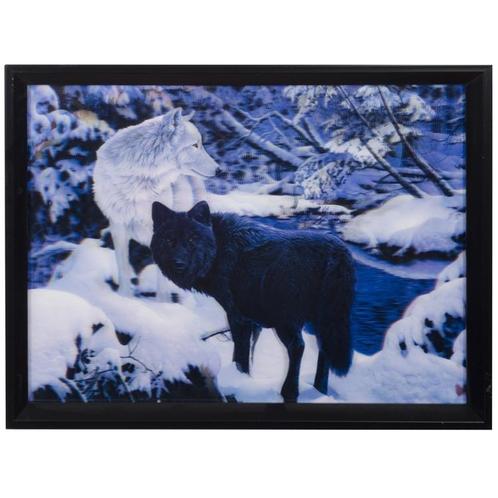 3-d schilderij wolf NIEUW, Huis en Inrichting, Woonaccessoires | Schilderijen, Tekeningen en Foto's, Nieuw, Ophalen of Verzenden