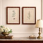 Wanddecoratie (2) - Verenigd Koninkrijk - English Botany