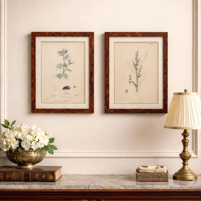 Wanddecoratie (2) - Verenigd Koninkrijk - English Botany, Antiek en Kunst, Curiosa en Brocante