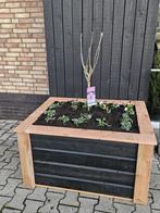 Plantenbak Douglas 105x80 cm, Tuin en Terras, Bloembakken en Plantenbakken, Ophalen, 100 cm of meer, Nieuw, Rechthoekig