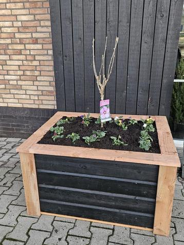 Plantenbak Douglas 105x80 cm beschikbaar voor biedingen