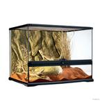 Exo Terra Glas Terrarium | 60 x 45 x 45CM Mer achterwand, Dieren en Toebehoren, Reptielen en Amfibieën | Toebehoren, Nieuw, Ophalen of Verzenden
