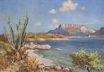Machiel Hagedoorn (1911-1988) - Curaçao de Tafelberg - NO