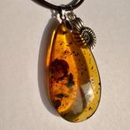 Inclusion in Amber - Barnsteen (Zonder Minimumprijs)