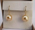 Oorbellen - 14 karaat Geel goud - 11x12mm Zuidzeeparels, Sieraden, Tassen en Uiterlijk, Oorbellen, Nieuw