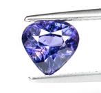 Zonder minimumprijs Spinel - 1.57 ct - Antwerp Laboratory, Nieuw