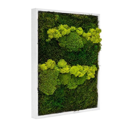 Vintlux Mosschilderij Lappen-Rendier-Bolmos Gebroken Wit -, Huis en Inrichting, Woonaccessoires | Wanddecoraties