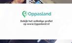 Ik ben Zaina, 17 jaar oud en ik zoek oppaswerk in Mijdrecht.