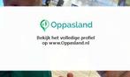 Maurice zoekt een oppas in Waddinxveen voor 1 kind op din..., Vacatures, Vacatures | Schoonmaak en Facilitaire diensten