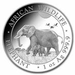 Somalische Olifant 1 oz 2022, Zilver, Losse munt, Overige landen, Verzenden