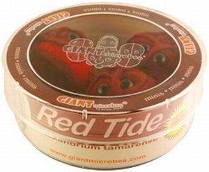 Giant Microbes Petri schaal Red tide (Rode vloed alg), Verzamelen, Speelgoed, Verzenden