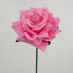CURVE ROSE CAD Roze PER STUK Flowerwall bruidsboeket, Ophalen of Verzenden, Nieuw