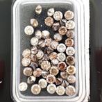 Zonder minimumprijs - 56 pcs Diamant (Natuurlijk gekleurd) -, Sieraden, Tassen en Uiterlijk, Edelstenen, Nieuw