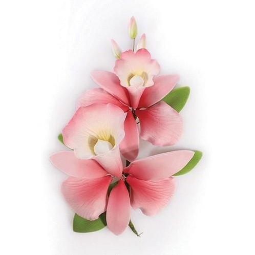 Suikerbloem Orchidee Roze 15cm, Hobby en Vrije tijd, Taarten en Cupcakes maken, Nieuw, Verzenden