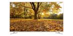 Samsung UE40H6410 - 40 Inch Full HD (LED) 100Hz TV, Ophalen, LED, Zo goed als nieuw, 100 Hz