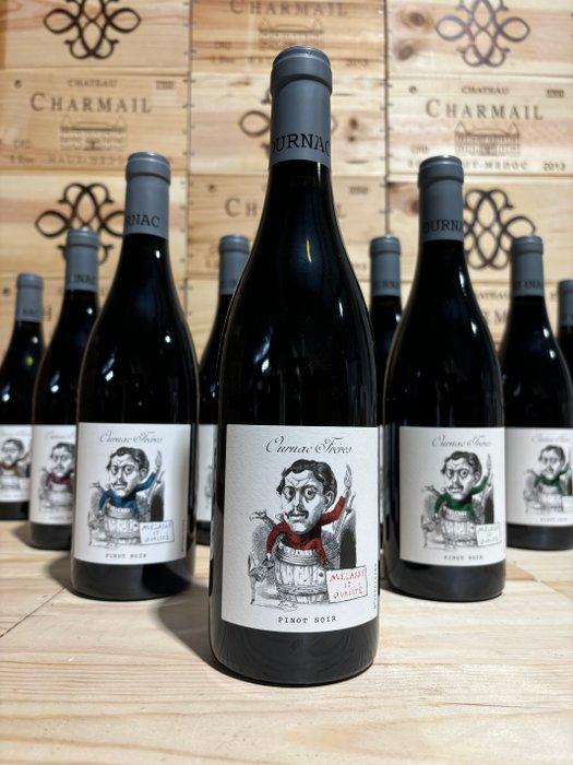 2019 Domaine Ournac Frères Mélasse 1° Qualité - Languedoc, Verzamelen, Wijnen