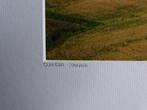 Oliviero Toscani (1942-) - L´Allure Val D´Orcia, Antiek en Kunst, Kunst | Designobjecten