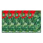 Lavas zaad | VT | 5 stuks, Verzenden