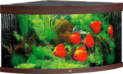 Trigon 350 LED Donkerbuin, Dieren en Toebehoren, Vissen | Aquaria en Toebehoren, Nieuw, Ophalen of Verzenden
