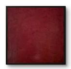 Sonja Brzak - Monochrome