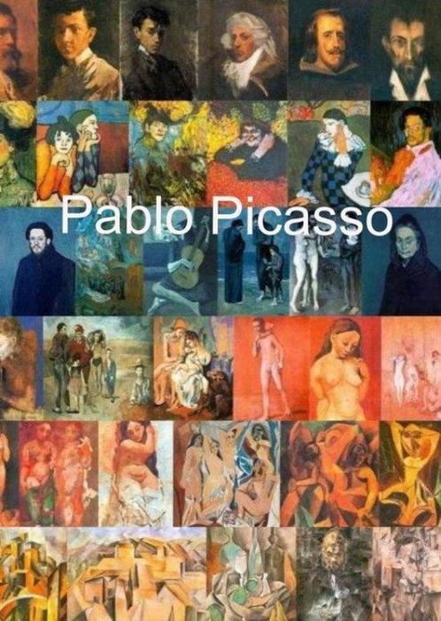 9789402191998 Pablo Picasso Eg Sneek, Boeken, Studieboeken en Cursussen, Nieuw, Verzenden