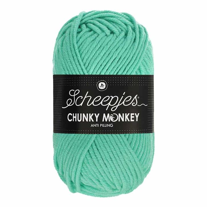 Scheepjes Chunky Monkey 100g - 1422 Aqua, Hobby en Vrije tijd, Breien en Haken, Nieuw, Verzenden