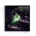 Jorge Omeñaca - Pandora plant, Antiek en Kunst