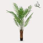 Kunstplant - Areca Lutescens - Goudpalm - 180 cm, Verzenden, Nieuw