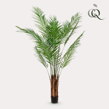 Kunstplant - Areca Lutescens - Goudpalm - 180 cm beschikbaar voor biedingen